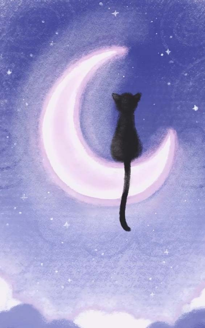 Black cat sitting on a crescent moon in a purple night sky